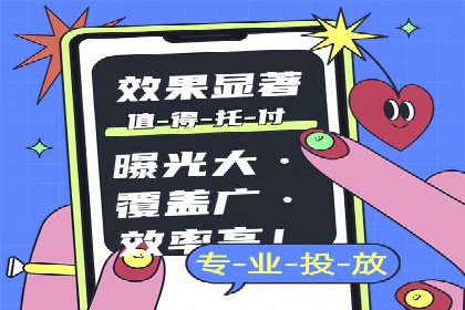专业sem托管服务案例，揭秘广告投放优化策略